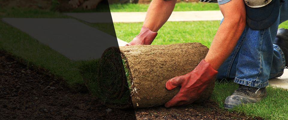 Horseshoe Bay Landscapers